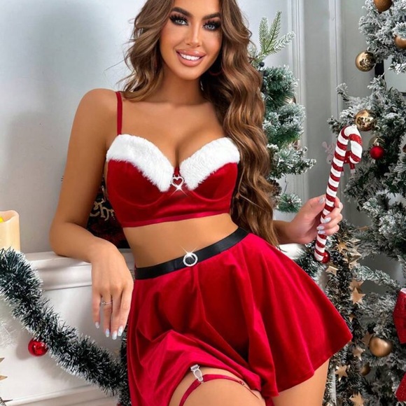 Rebellious Rose Other - Fuzzy Trim Underwire Christmas Costume Set